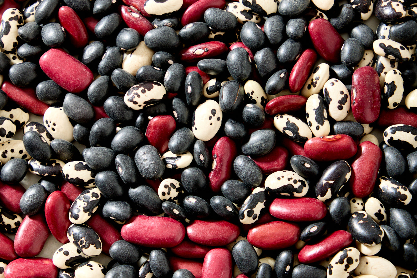 Rare Heirloom Beans from Central Mexico