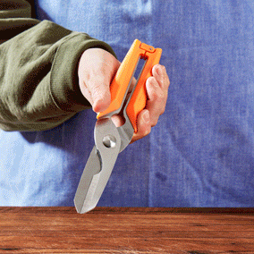 Milk Street Kitchen Shears