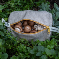 Ambrosia Bags (S, M, & L) Cookware & Tools Ambrosia Bags 