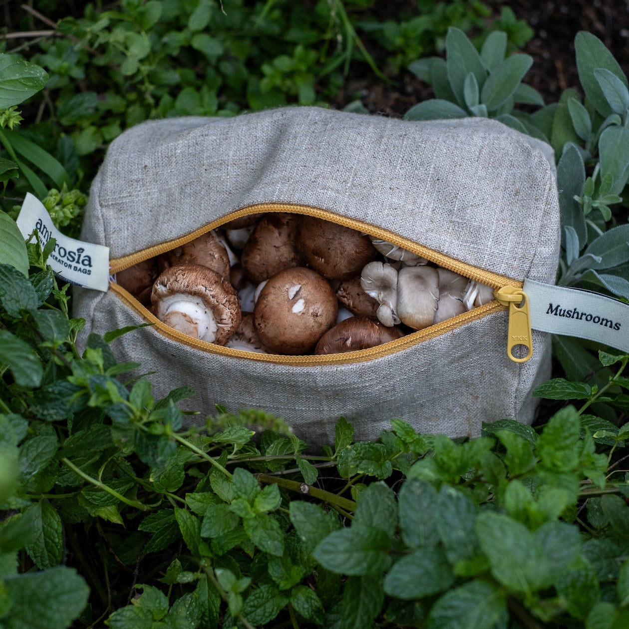 Ambrosia Bags (S, M, & L) Cookware & Tools Ambrosia Bags 