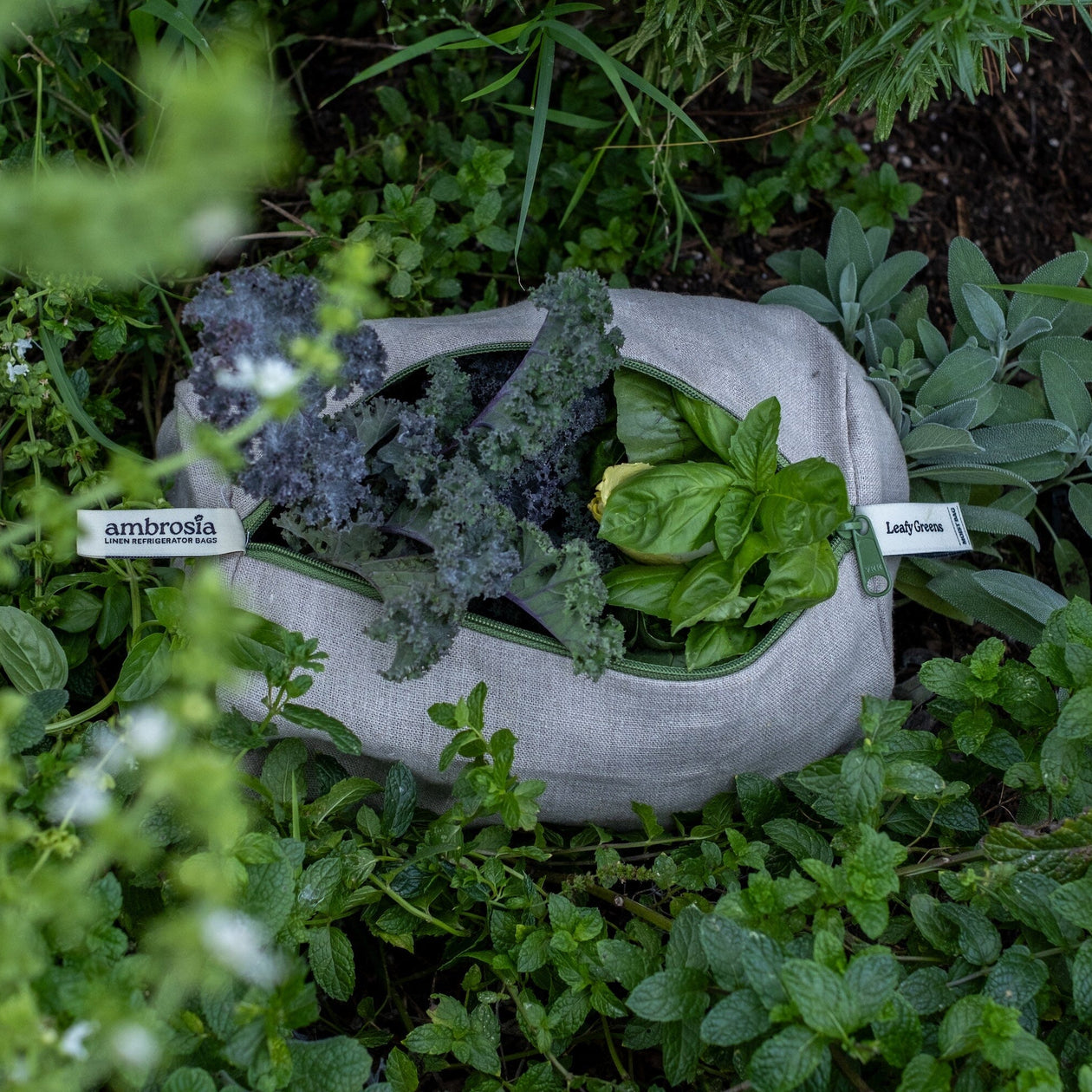 Ambrosia Bags (S, M, & L) Cookware & Tools Ambrosia Bags 