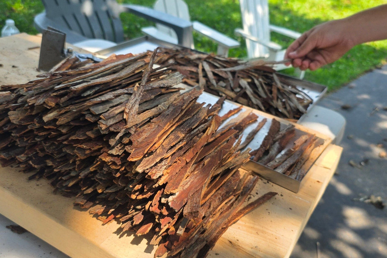 Bark That’s Shed, Never Torn