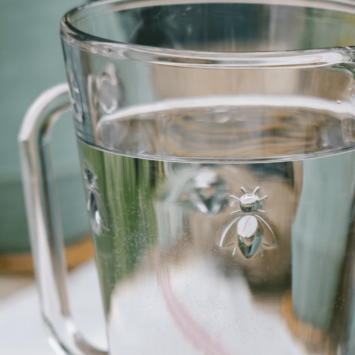Bee Pitcher La Rochere 
