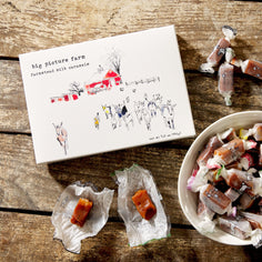 Big Picture Farm Story Box Goat Milk Caramels Pantry Big Picture Farm 