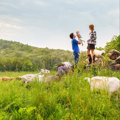 Big Picture Farm Story Box Goat Milk Caramels Pantry Big Picture Farm 
