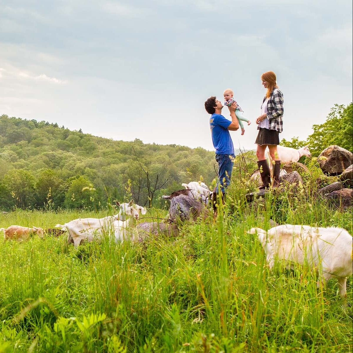 Big Picture Farm Story Box Goat Milk Caramels Pantry Big Picture Farm 