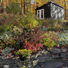 Cave Glow Studio Spiral Candles — Set of 3 Cave Glow 