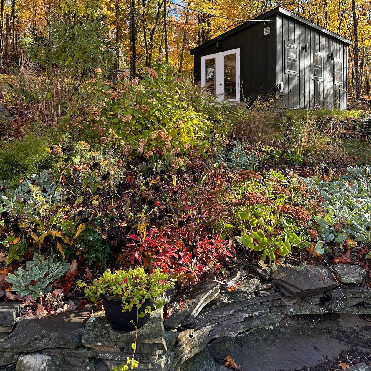 Cave Glow Studio Spiral Candles — Set of 3 Cave Glow 