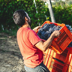 Cepa Vieja Aged Sherry Vinegar Pantry Rogers Collection 