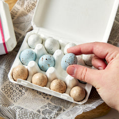 Chocolate Detective Egg Carton - Robin Pantry Chocolate Detective 