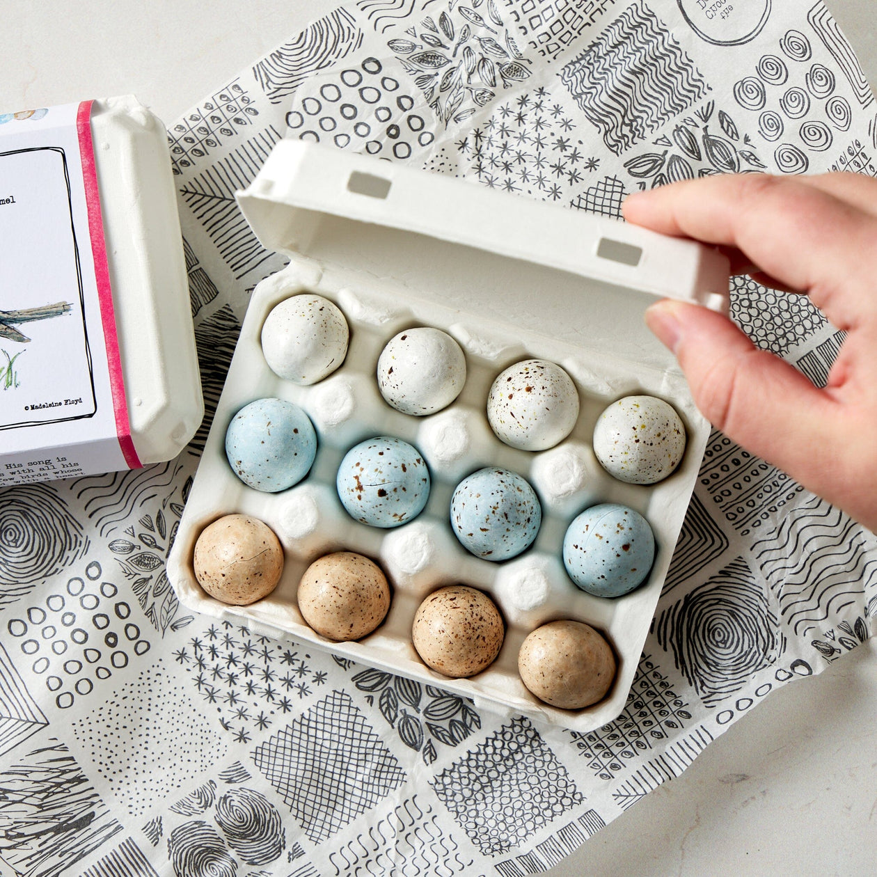 Chocolate Detective Egg Carton - Robin Pantry Chocolate Detective 