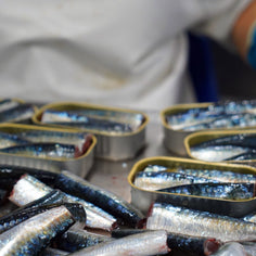 Conservas Santos Sardines in Olive Oil with Red Pepper Pantry Portugalia Marketplace 