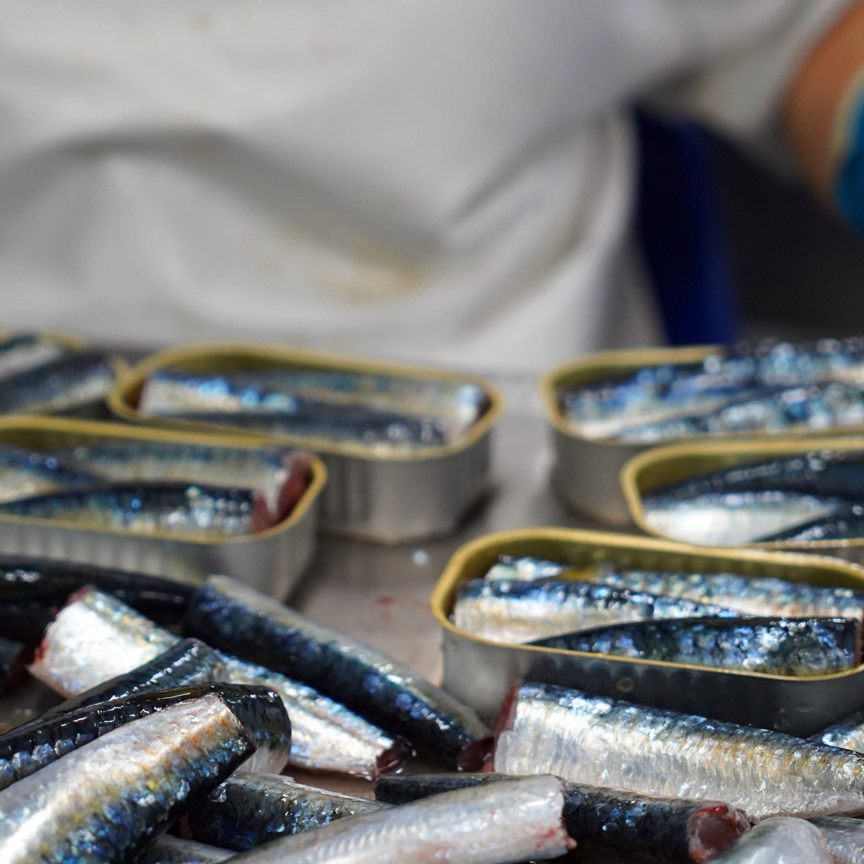 Conservas Santos Sardines in Olive Oil with Red Pepper Pantry Portugalia Marketplace 