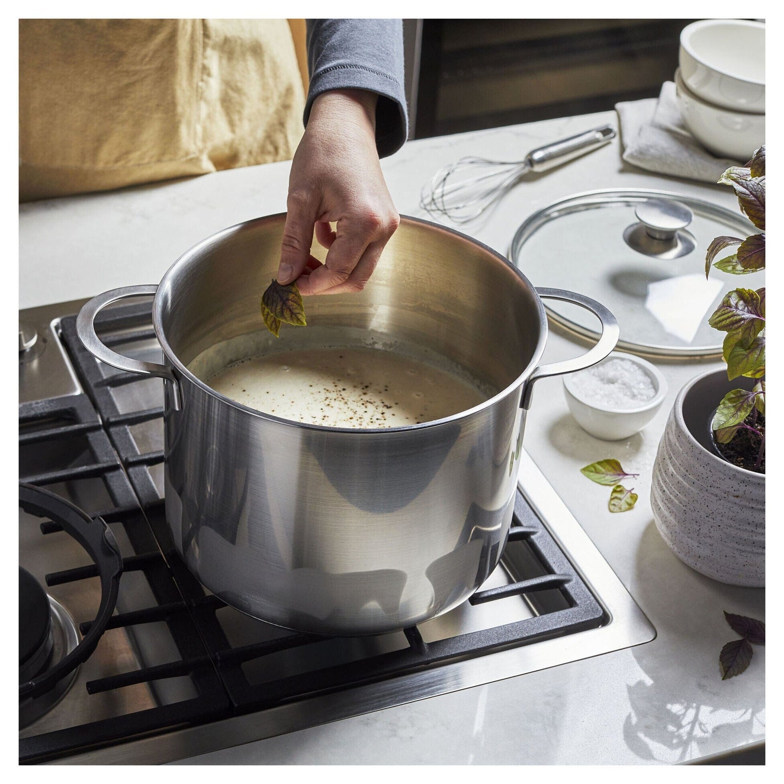 Demeyere 8.5-Quart Multi-Pot Equipment Zwilling J.A. Henckels 