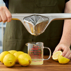 Dreamfarm Stainless Steel Fluicer Cookware & Tools Dreamfarm 