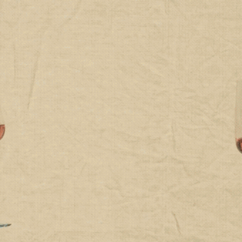 Fable Pro Crystal Wine Glasses — Set of 4 Tabletop Fable 