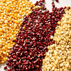 Fireworks Heirloom Popcorn Kernels - Set of 3 Pantry Fireworks Popcorn 