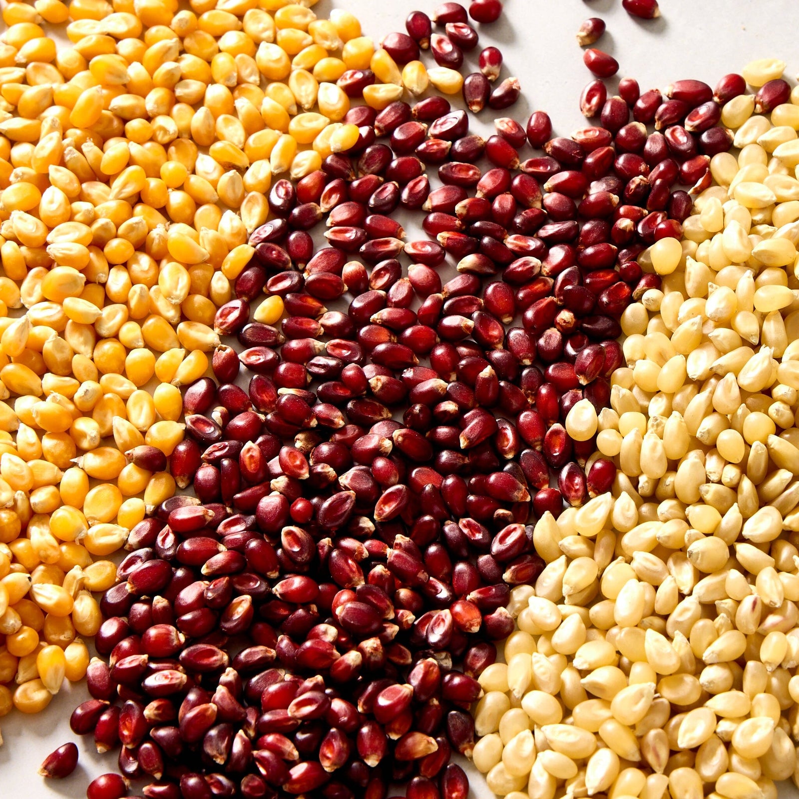 Fireworks Heirloom Popcorn Kernels - Set of 3 Pantry Fireworks Popcorn 