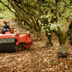 Freddy Guys Oregon Hazelnuts Pantry Freddy Guy 