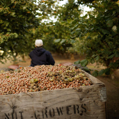 Freddy Guys Oregon Hazelnuts Pantry Freddy Guy 