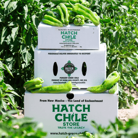 They're Back! Green Hatch Chiles