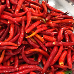 Kama Red Shatta Pantry Rogers Collection 