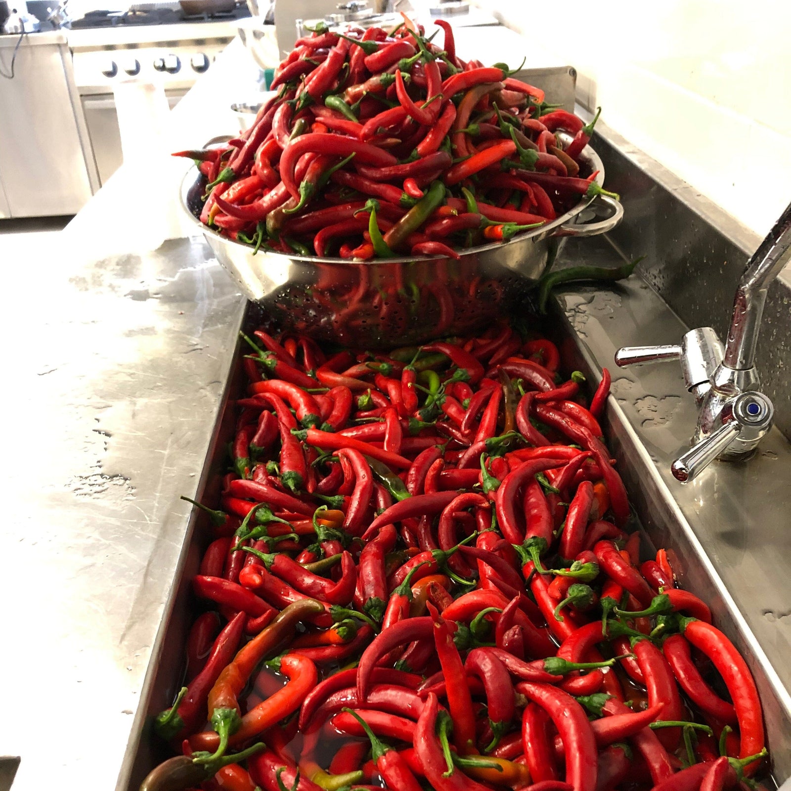 Kama Red Shatta Pantry Rogers Collection 