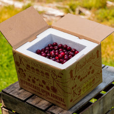 King Orchards Balaton Sour Cherries Fresh Dropship King Orchards 