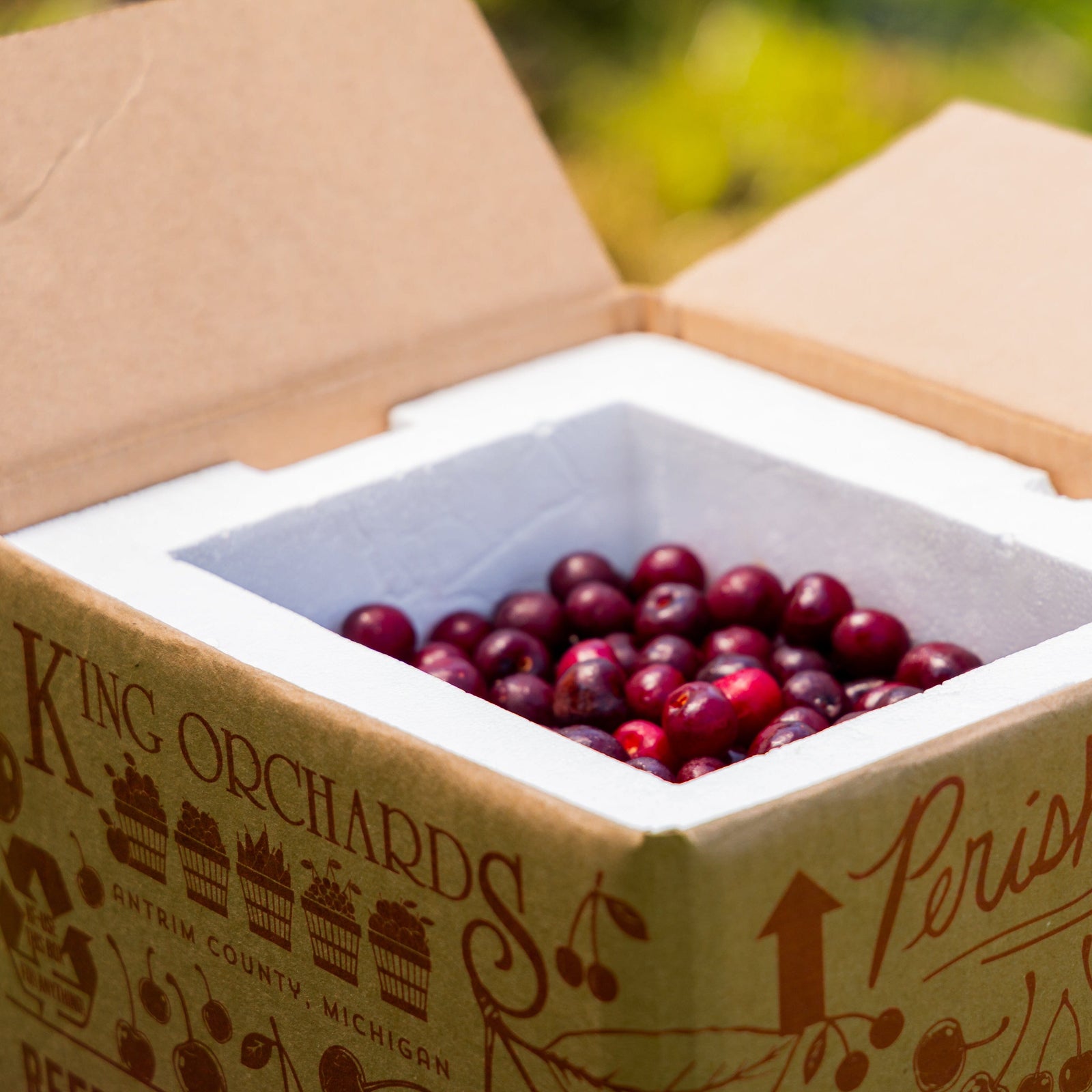 King Orchards Balaton Sour Cherries Fresh Dropship King Orchards 