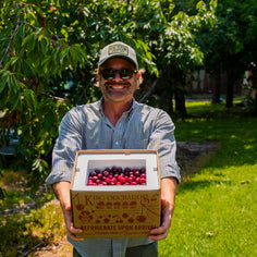 King Orchards Balaton Sour Cherries Fresh Dropship King Orchards 