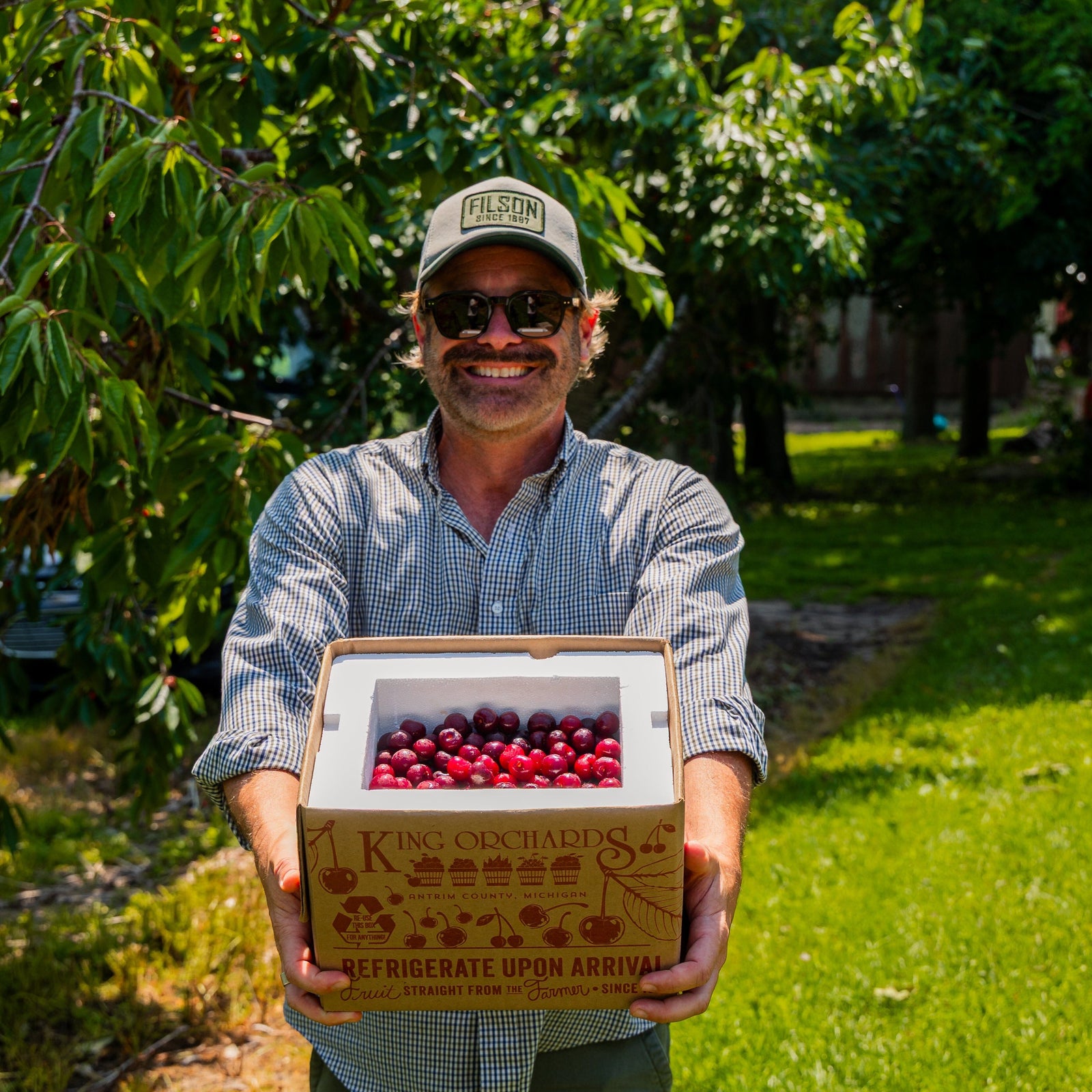 King Orchards Balaton Sour Cherries Fresh Dropship King Orchards 
