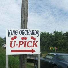 King Orchards Sour Cherry Balaton Box Fresh Dropship King Orchards 