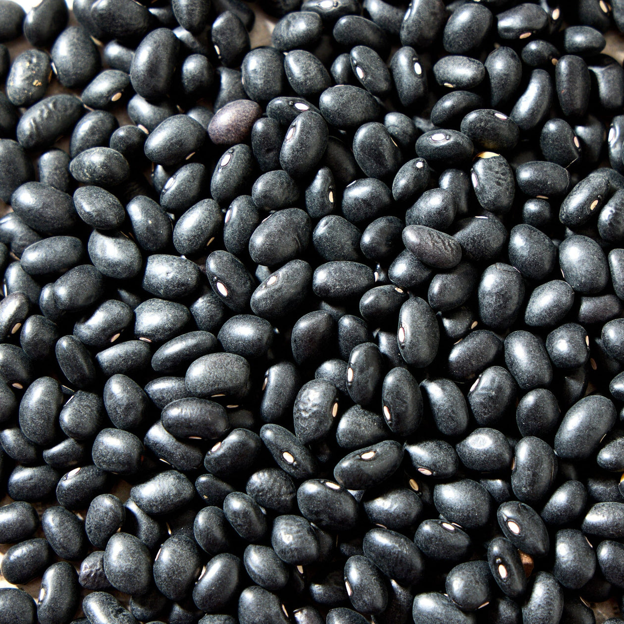 La Comandanta Black Bean 550g Pantry La Comandanta 