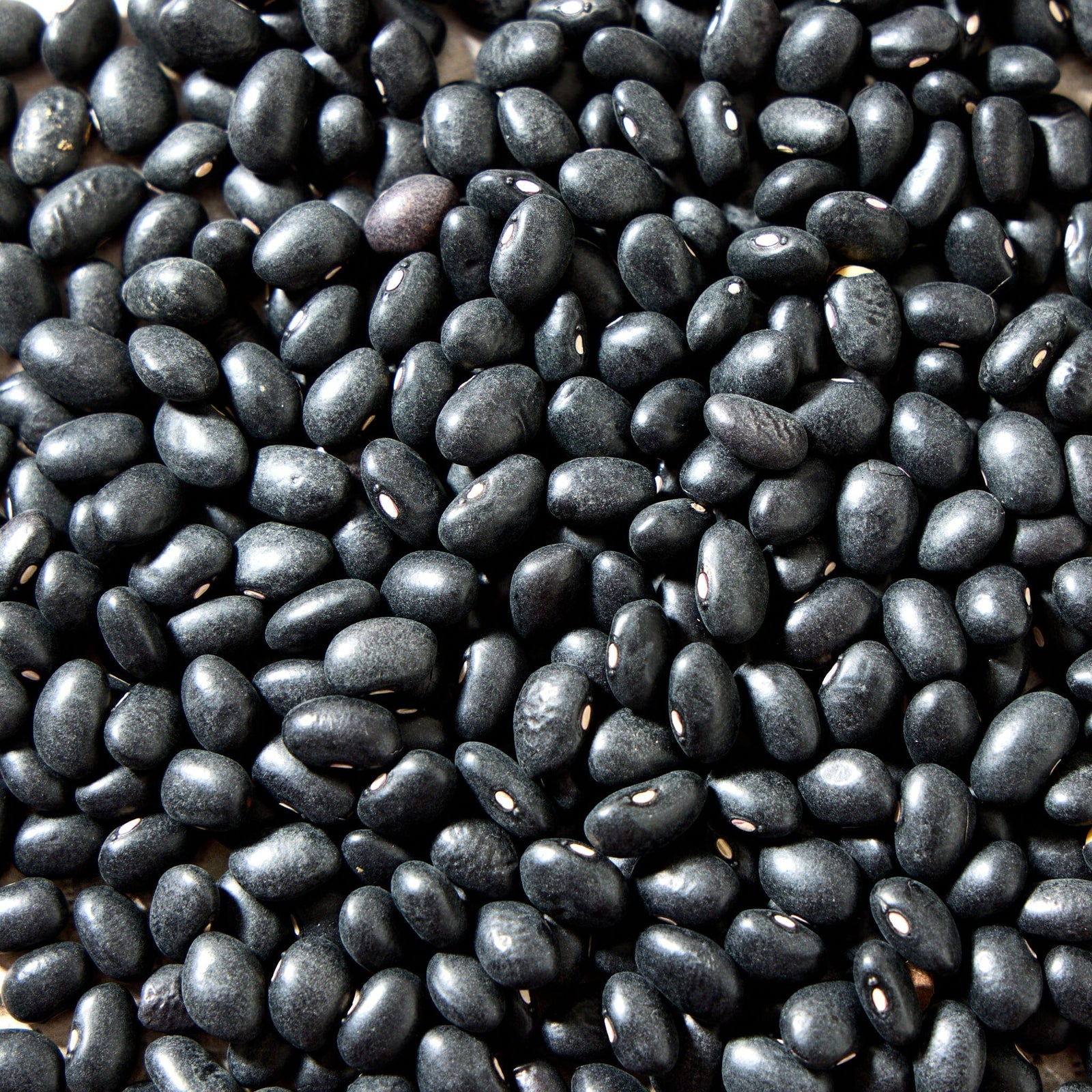 La Comandanta Black Bean 550g Pantry La Comandanta 