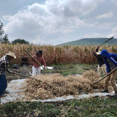 La Comandanta Black Cow Bean 550g Pantry La Comandanta 