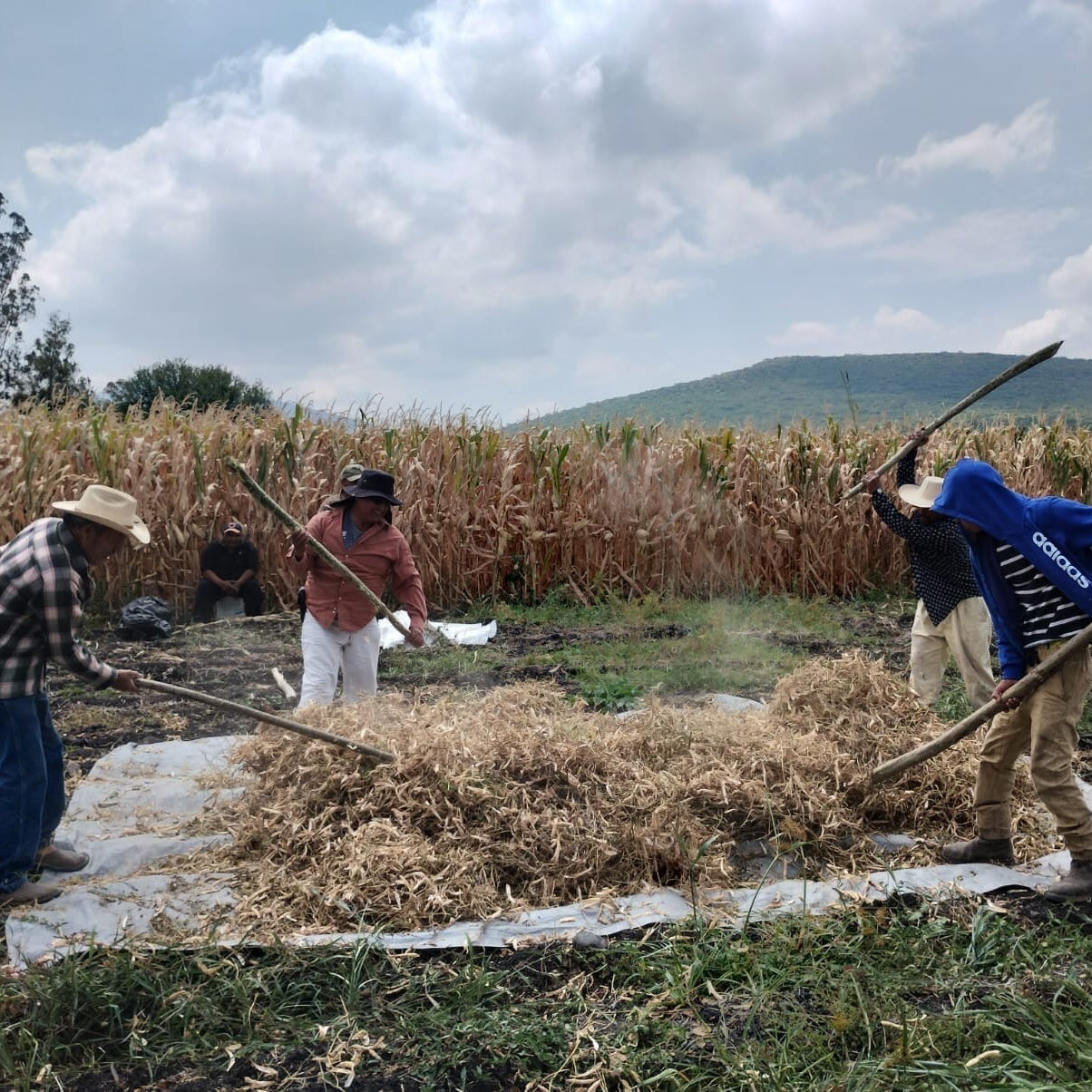 La Comandanta Black Cow Bean 550g Pantry La Comandanta 