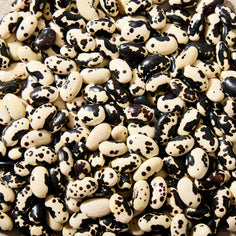 La Comandanta Black Cow Bean 550g Pantry La Comandanta 