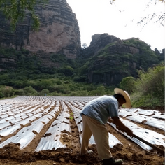 La Comandanta Black Cow Bean 550g Pantry La Comandanta 