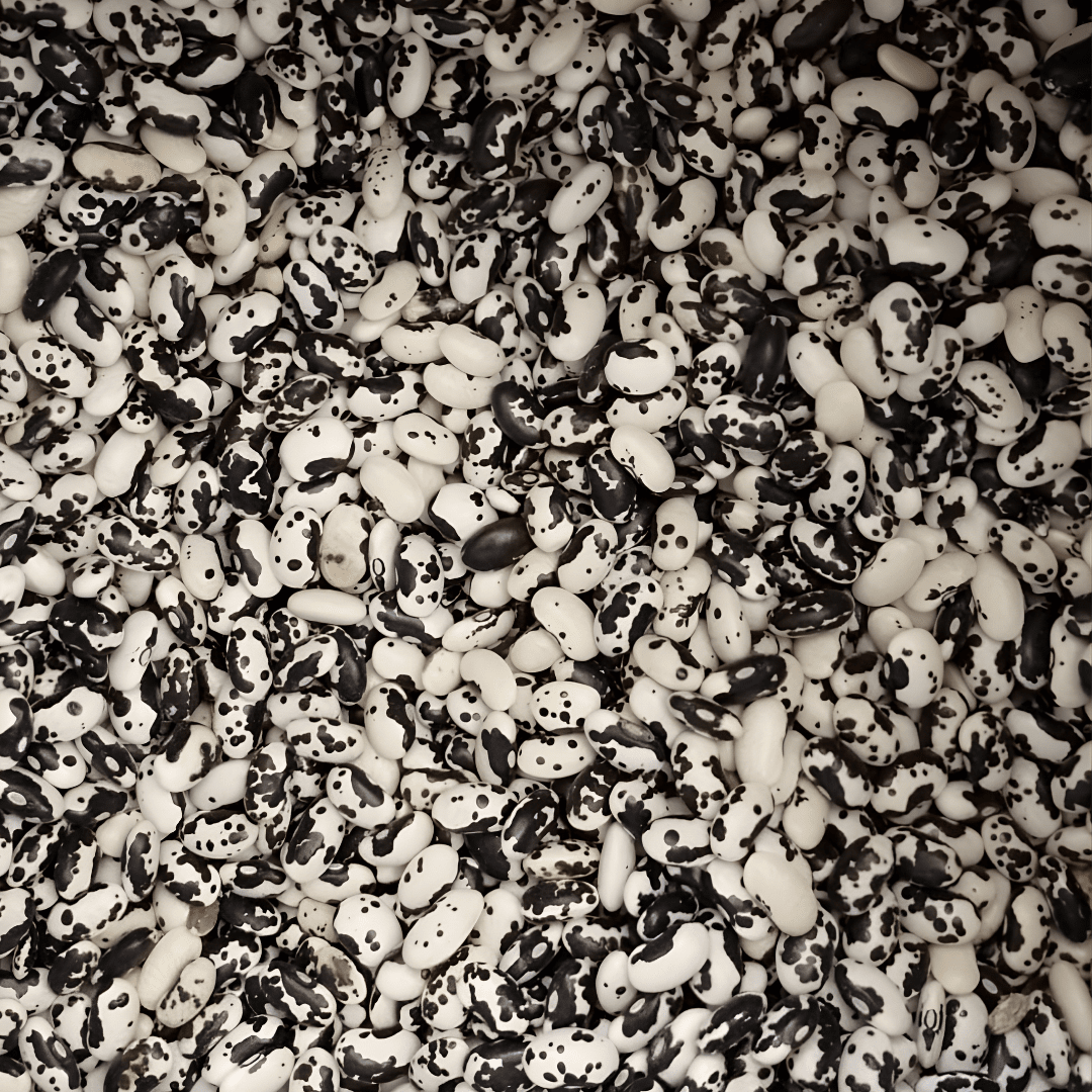 La Comandanta Black Cow Bean 550g Pantry La Comandanta 