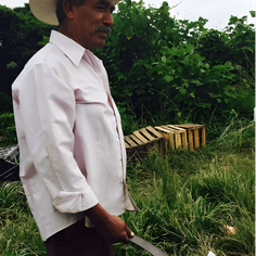 La Comandanta Black Cow Bean 550g Pantry La Comandanta 