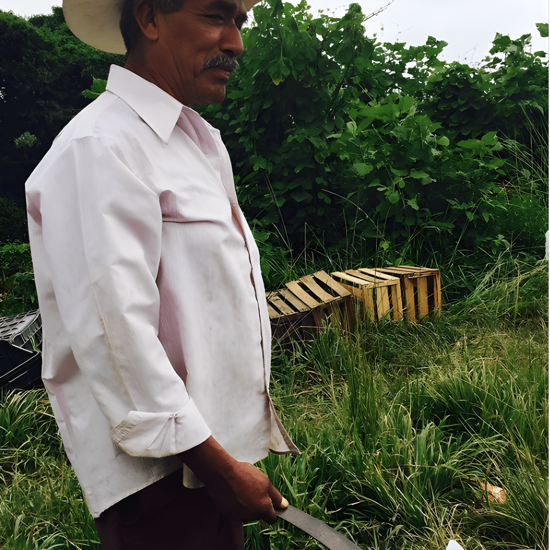 La Comandanta Black Cow Bean 550g Pantry La Comandanta 