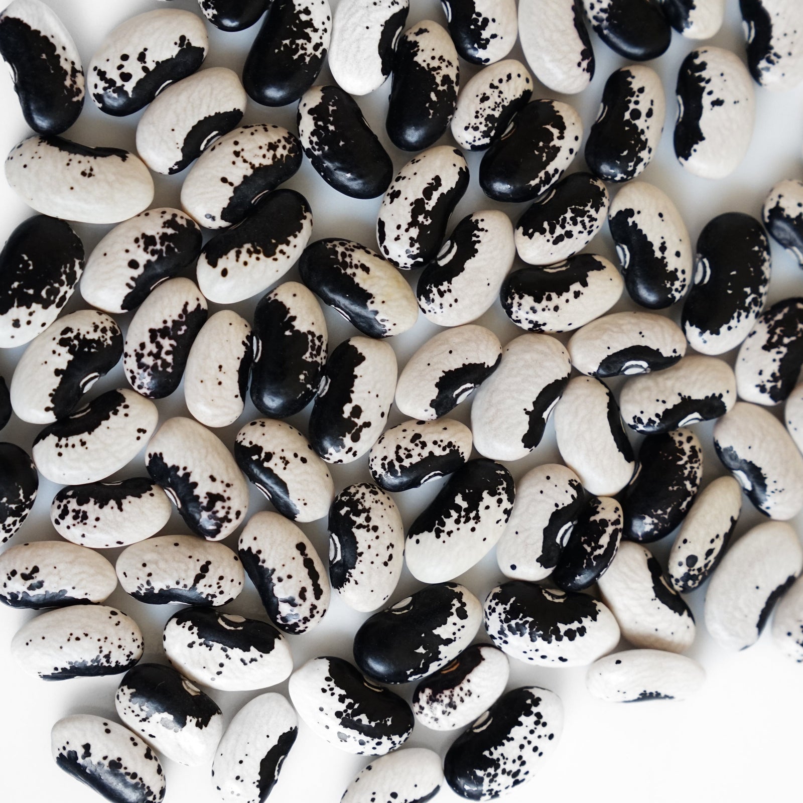 La Comandanta Black Cow Bean 550g Pantry La Comandanta 