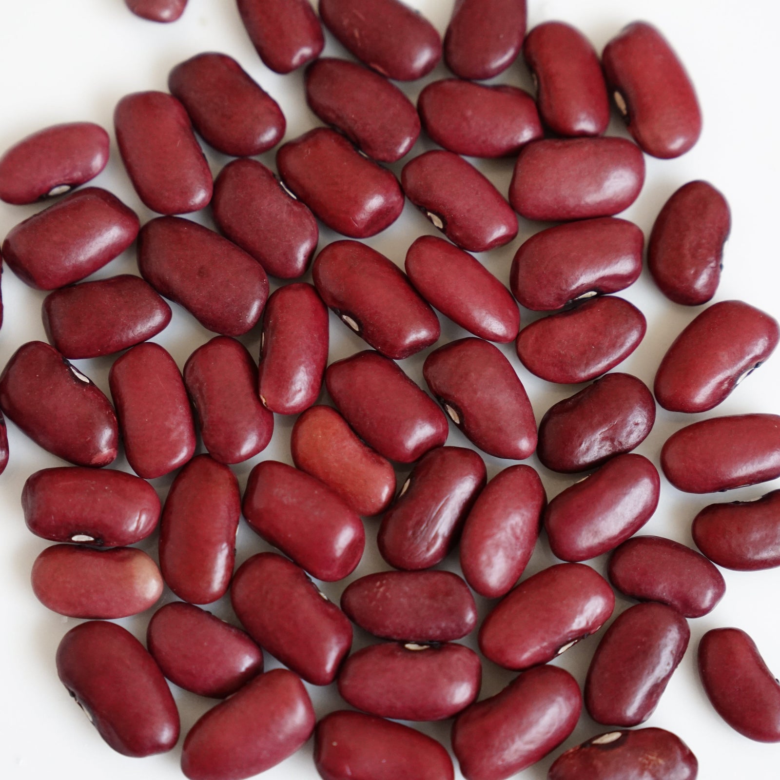La Comandanta Bull's Blood Bean 550g Pantry La Comandanta 