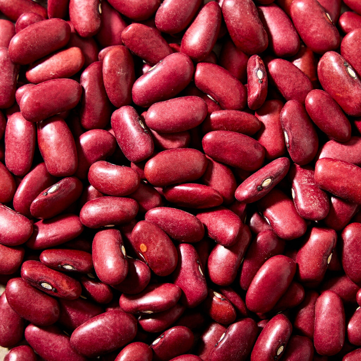 La Comandanta Bull's Blood Bean 550g Pantry La Comandanta 