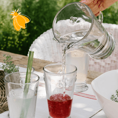 La Rochère | Bee Pitcher Tabletop La Rochere 