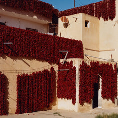 Lamiri Harissa Pantry Lamiri 