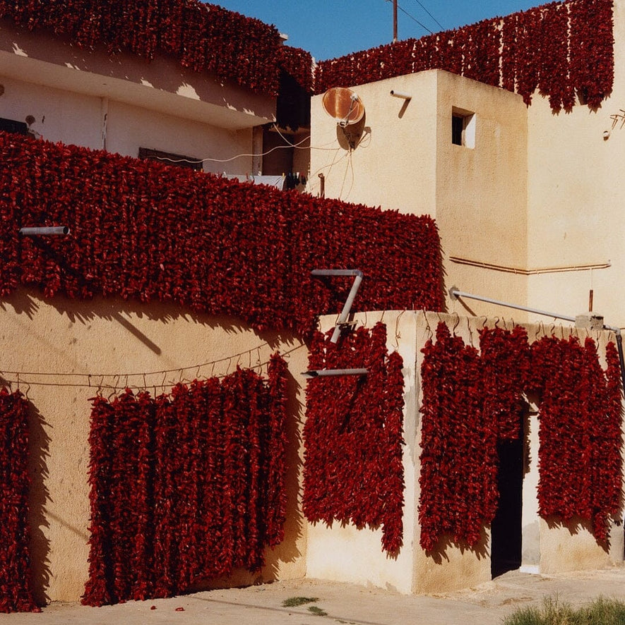 Grandma Selma’s Recipe Goes Global