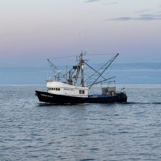 Local Ocean Tinned Tuna - Smoked Pantry Local Ocean 