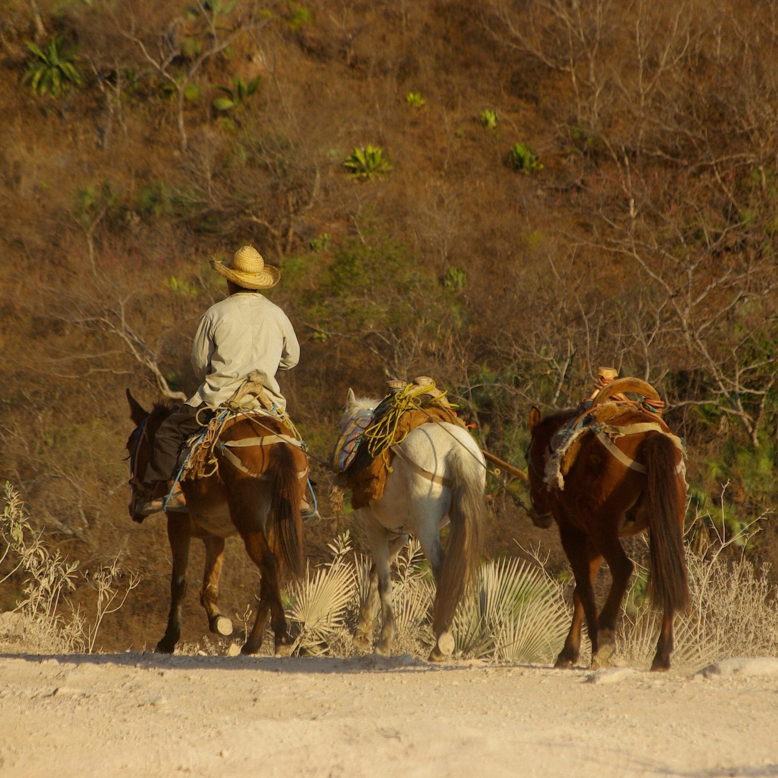 Makaua Oval Basket Makaua 