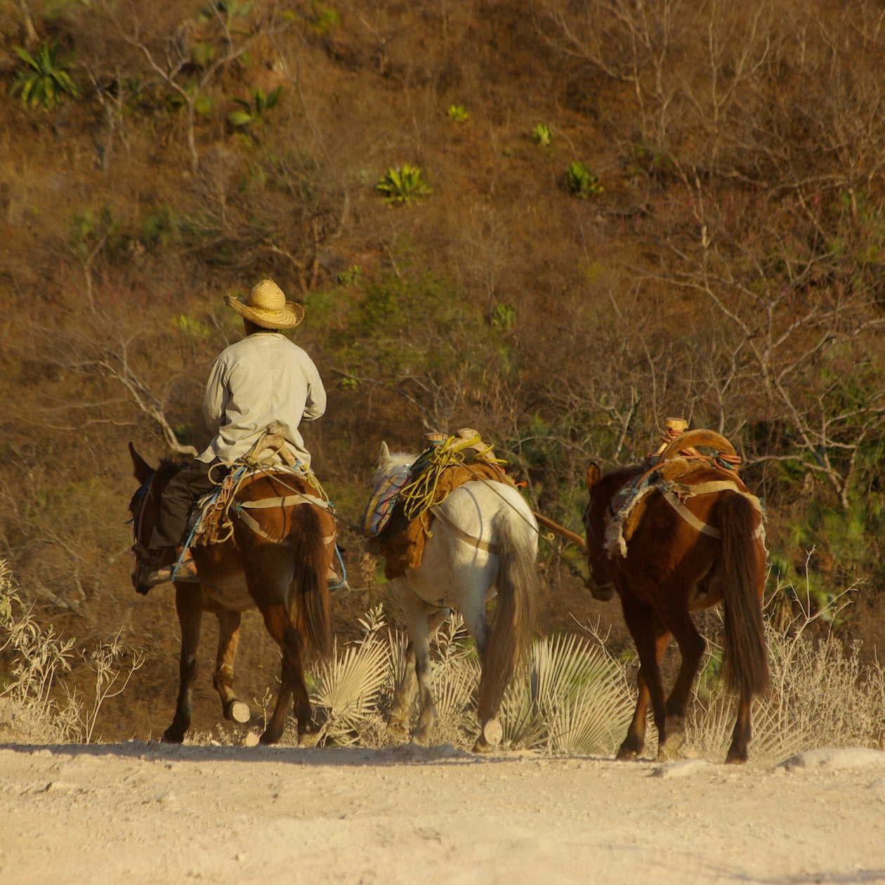 Makaua Tortillero Basket Makaua 